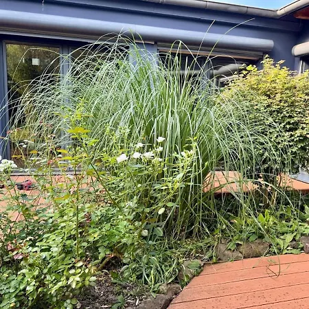 Villa Design-ferienhaus Mit Garten, Kino & 5 Schlafzimmern Dieburg