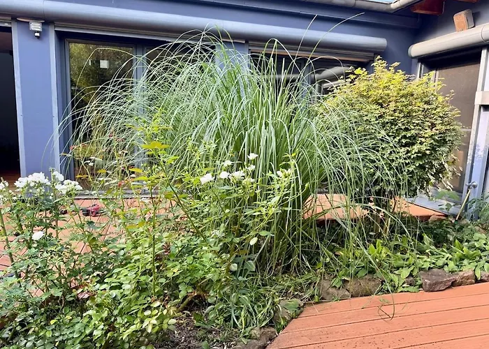 فيلة Design-ferienhaus Mit Garten, Kino & 5 Schlafzimmern ديبورغ